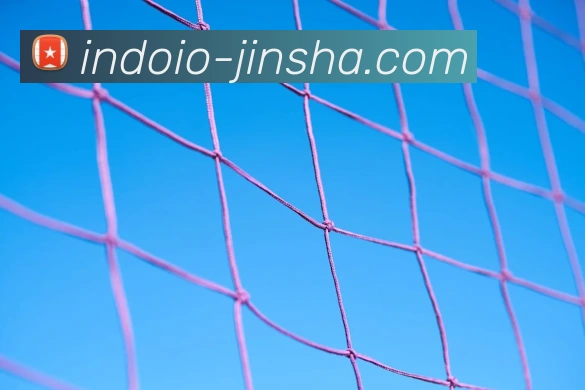 澳门金沙官网APP 封面图